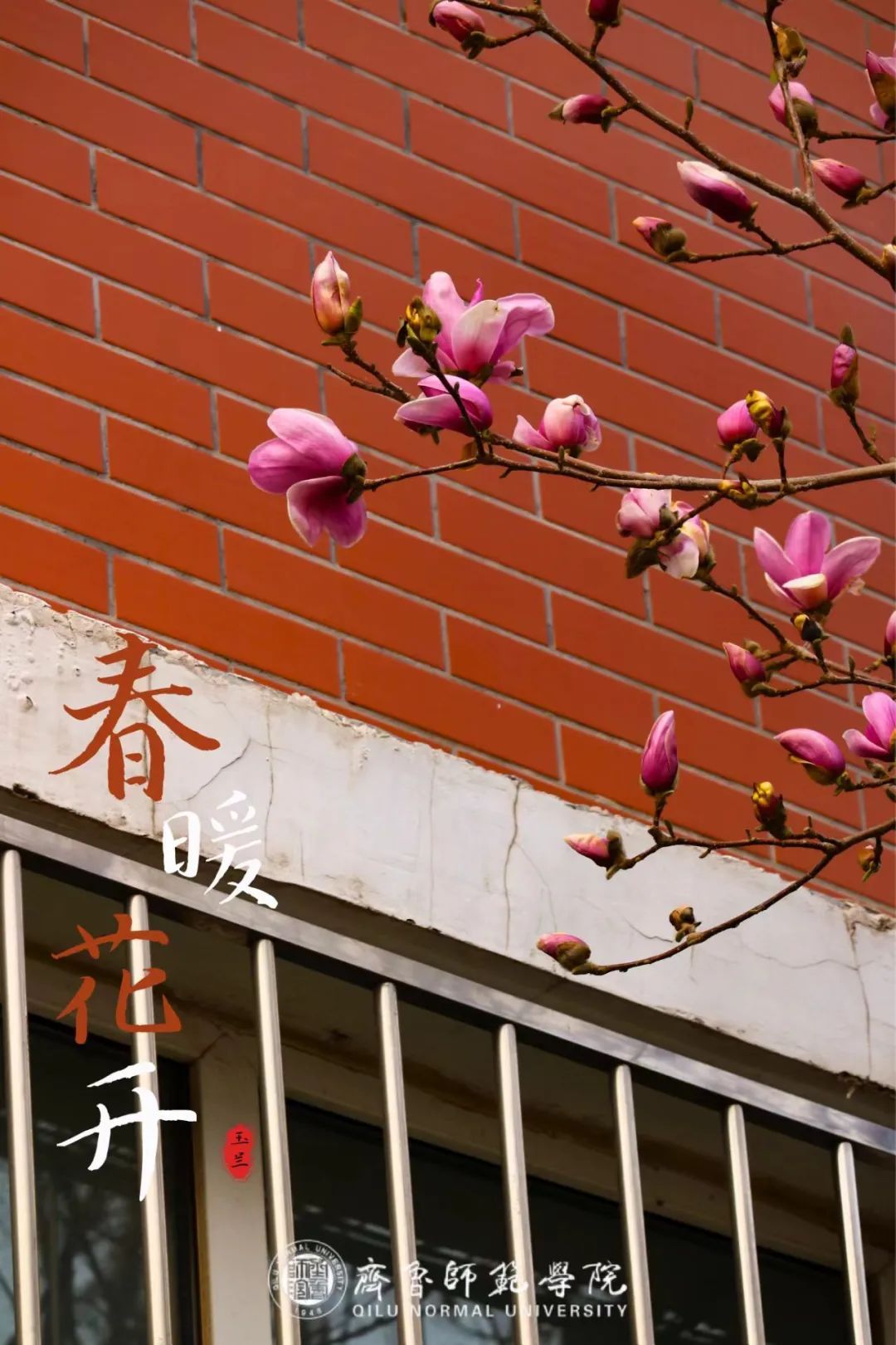 亚投app官方下载