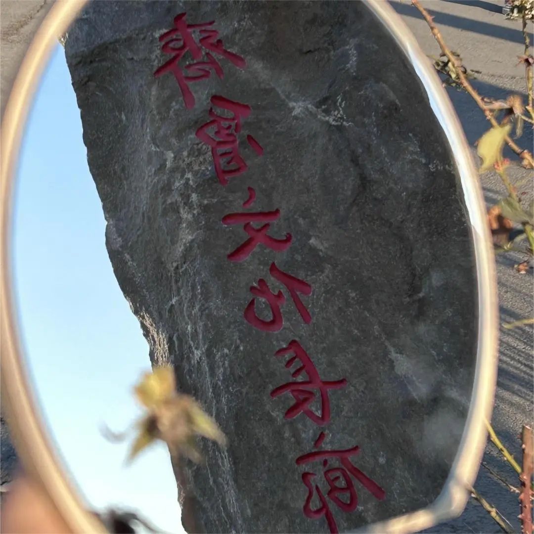 亚投app官方下载