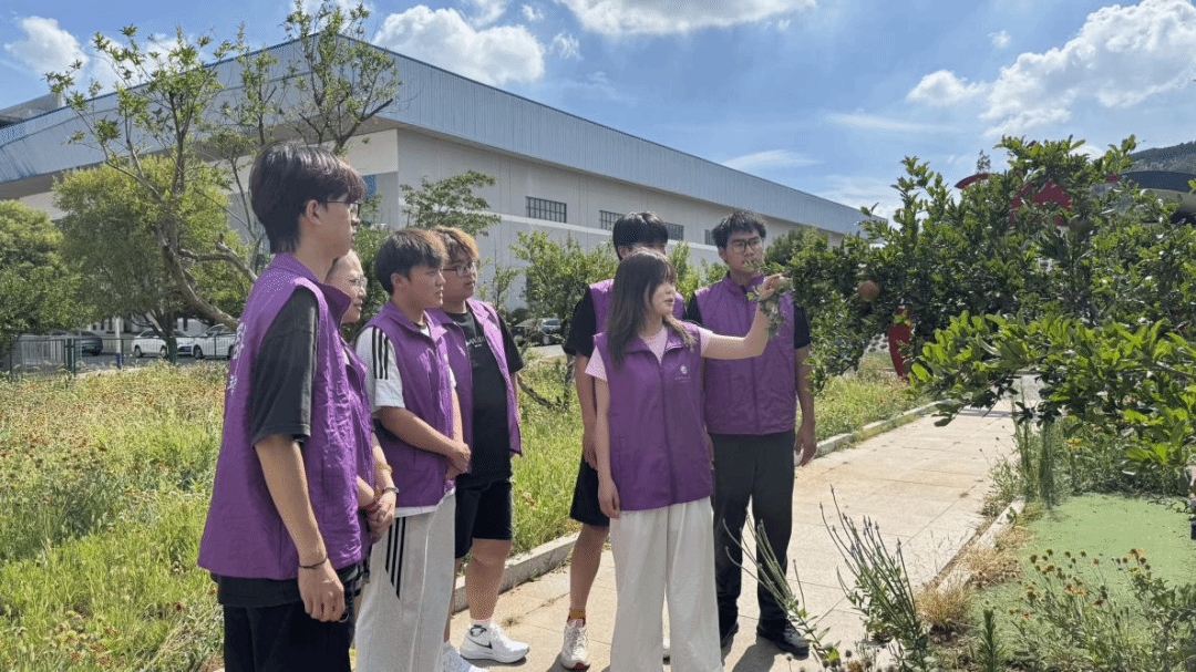 亚投app官方下载