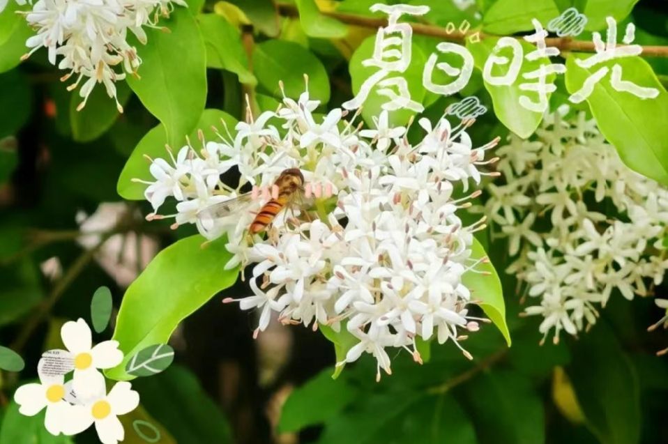亚投app官方下载