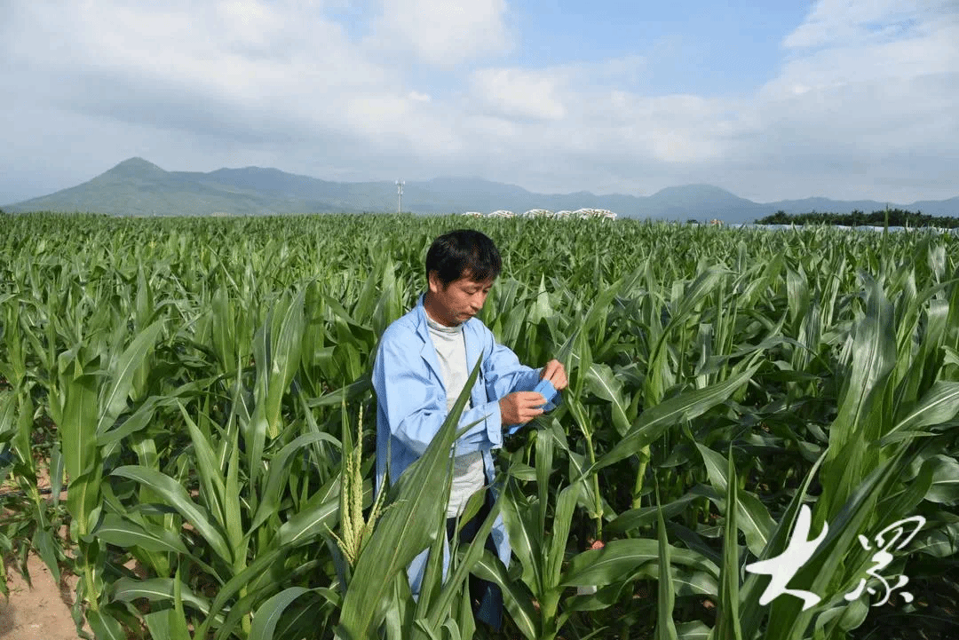 亚投app官方下载