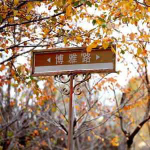 亚投app官方下载