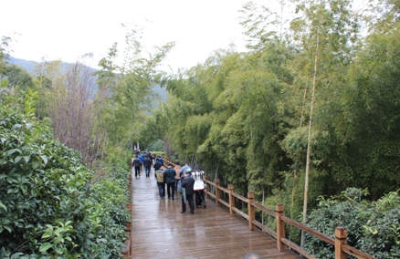 亚投app官方下载