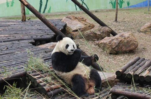 亚投app官方下载