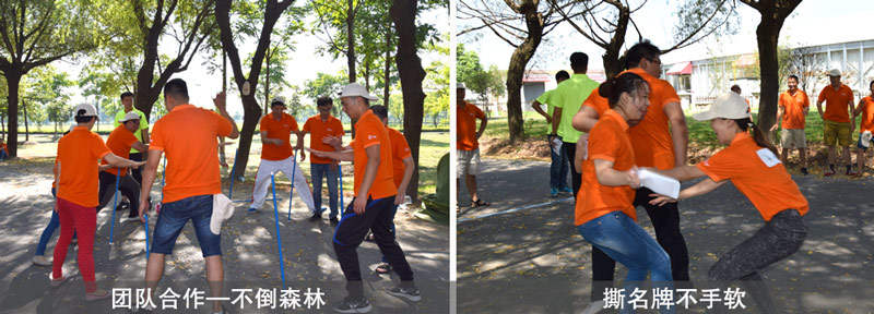 亚投app官方下载