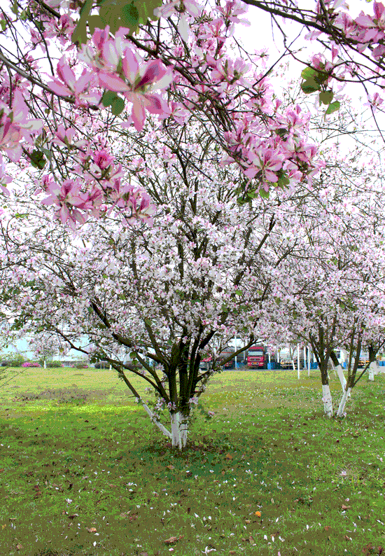 亚投app官方下载