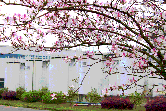 亚投app官方下载