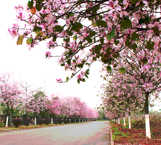 亚投app官方下载