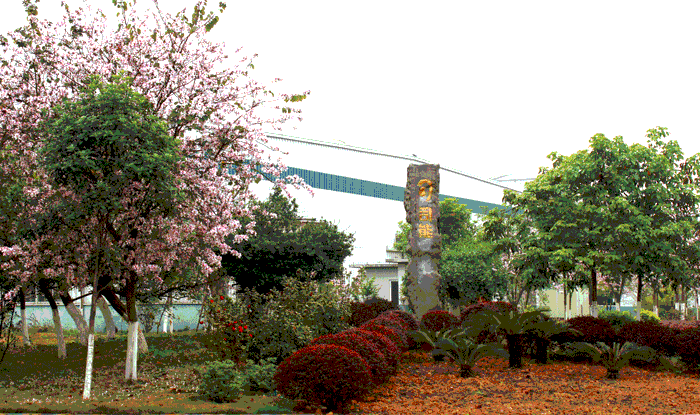 亚投app官方下载