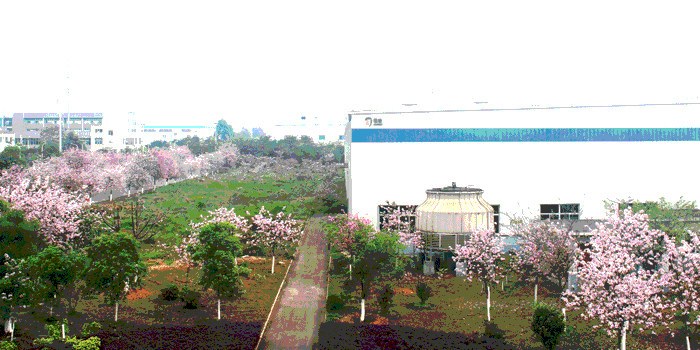 亚投app官方下载