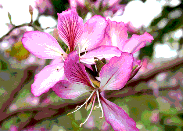 亚投app官方下载