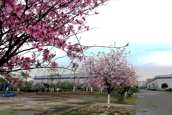 亚投app官方下载