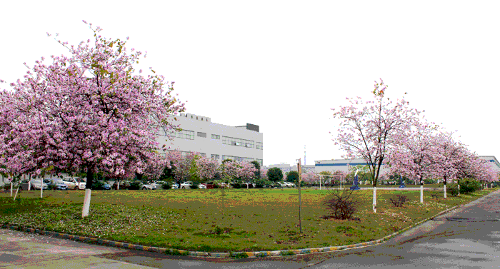 亚投app官方下载