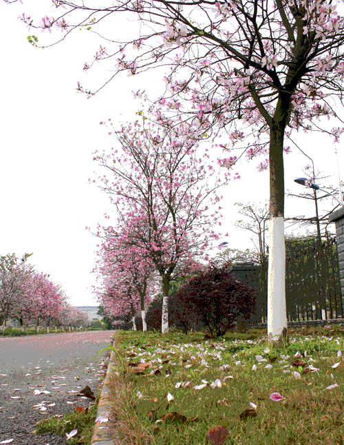 亚投app官方下载