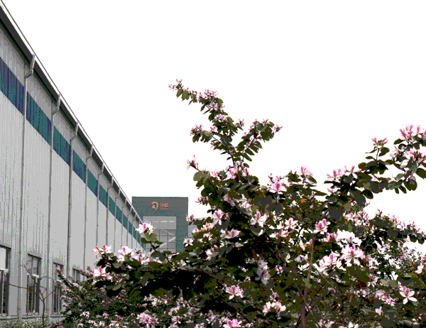 亚投app官方下载