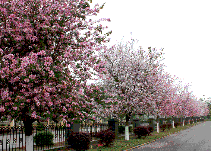 亚投app官方下载