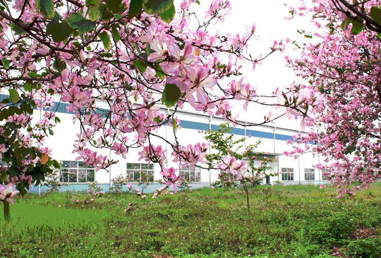 亚投app官方下载