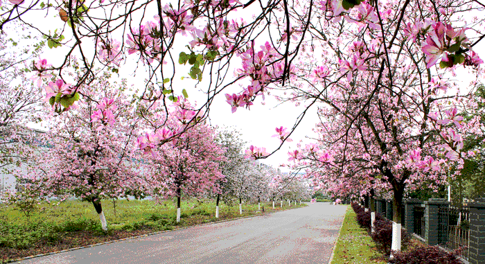 亚投app官方下载