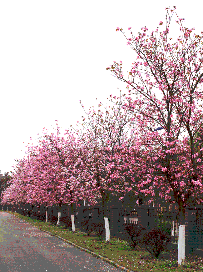 亚投app官方下载