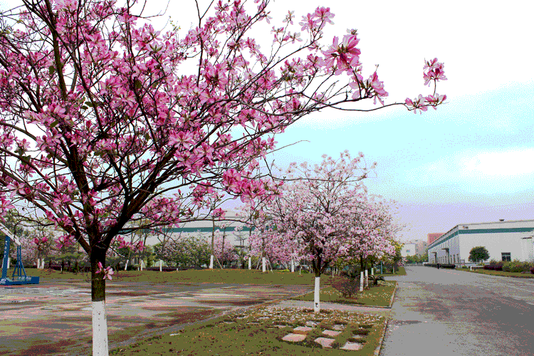 亚投app官方下载