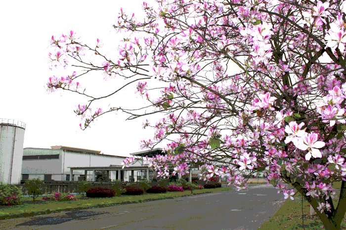 亚投app官方下载