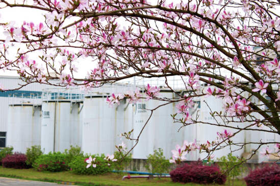 亚投app官方下载