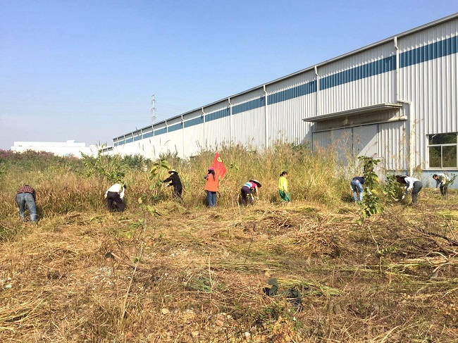 亚投app官方下载