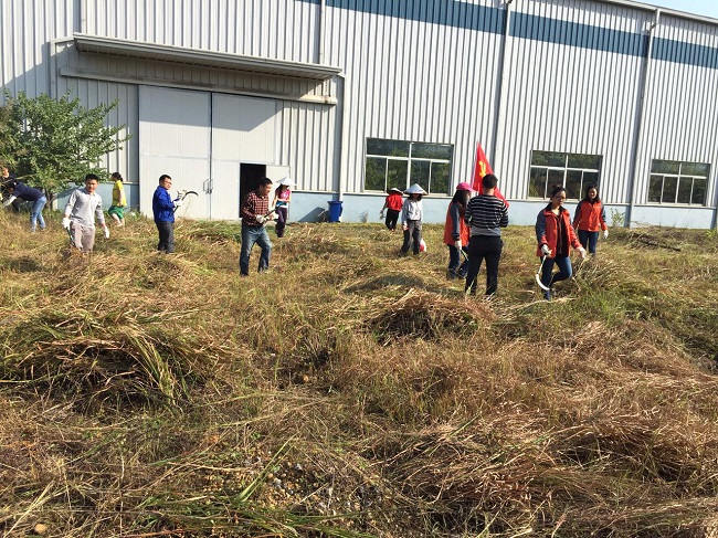 亚投app官方下载