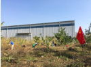 开展志愿服务活动 美化公司环境
