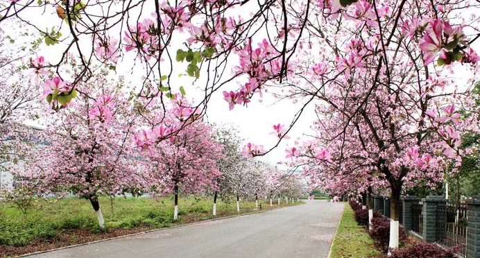 亚投app官方下载