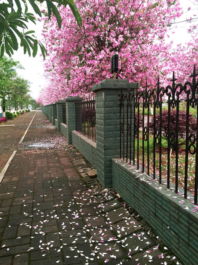 亚投app官方下载